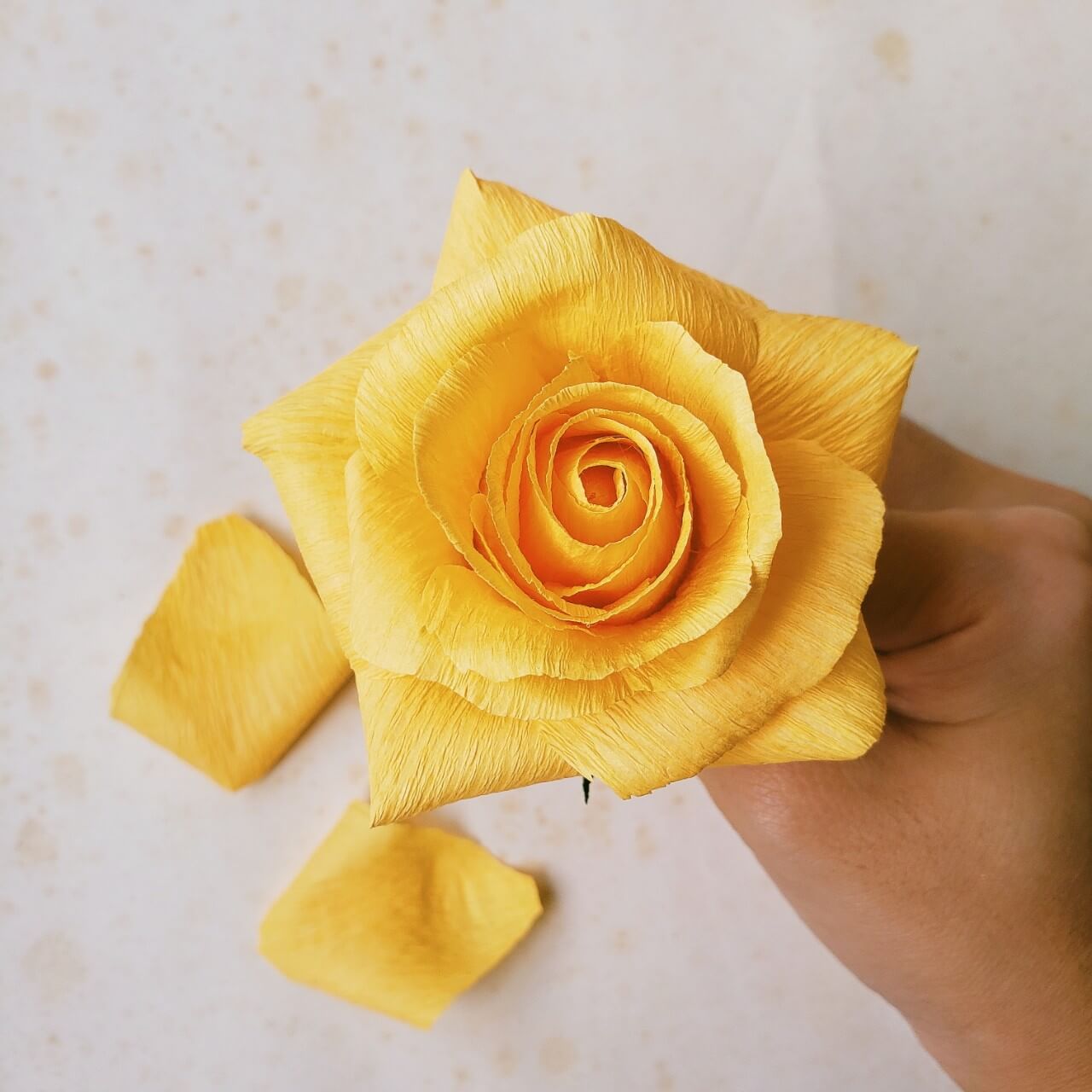 6 Cách làm hoa hồng bằng giấy [Nhún, Giấy vệ sinh, Ruy băng, Giấy A4]