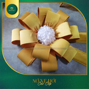 Nơ Xe Hơi - NXH10 - 2025
