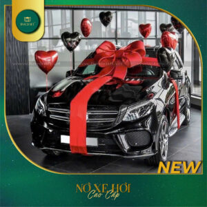 Nơ Xe Hơi - NXH12 - 2025
