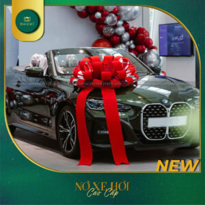 Nơ Xe Hơi - NXH21 - 2025