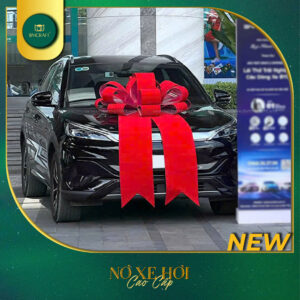 Nơ Xe Hơi - NXH04 - 2025