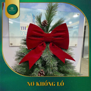 Nơ Khổng Lồ 2025 - NKL28