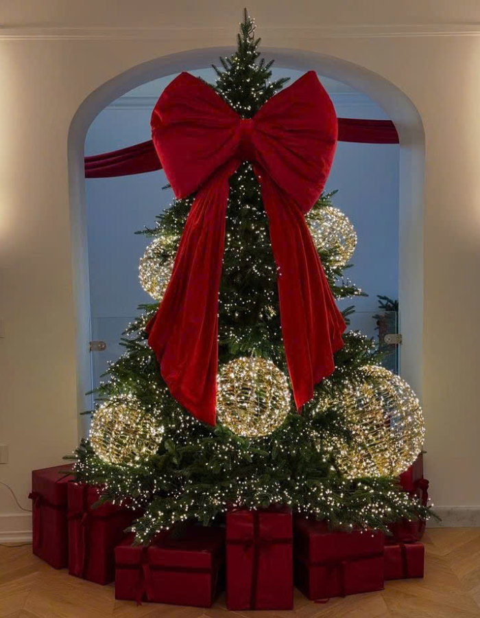 Nơ Cây Thông Noel đuôi ngắn